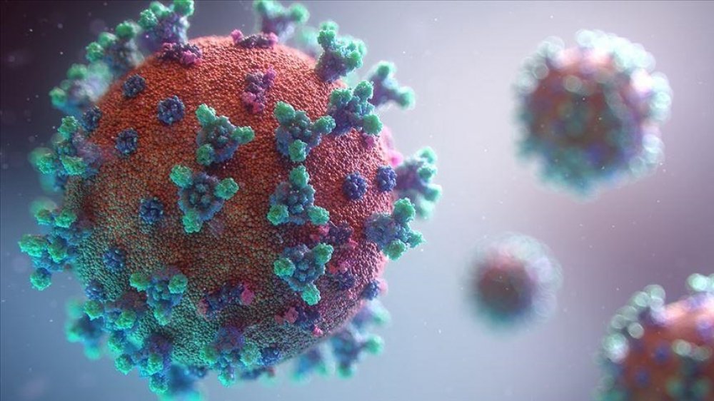 ÜST: koronovirusun təhlükəli ştammları coğrafiyasını genişləndirib