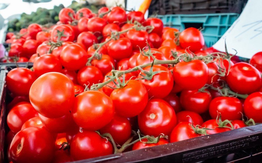 Rusiya 47 ton pomidoru Azərbaycana qaytardı