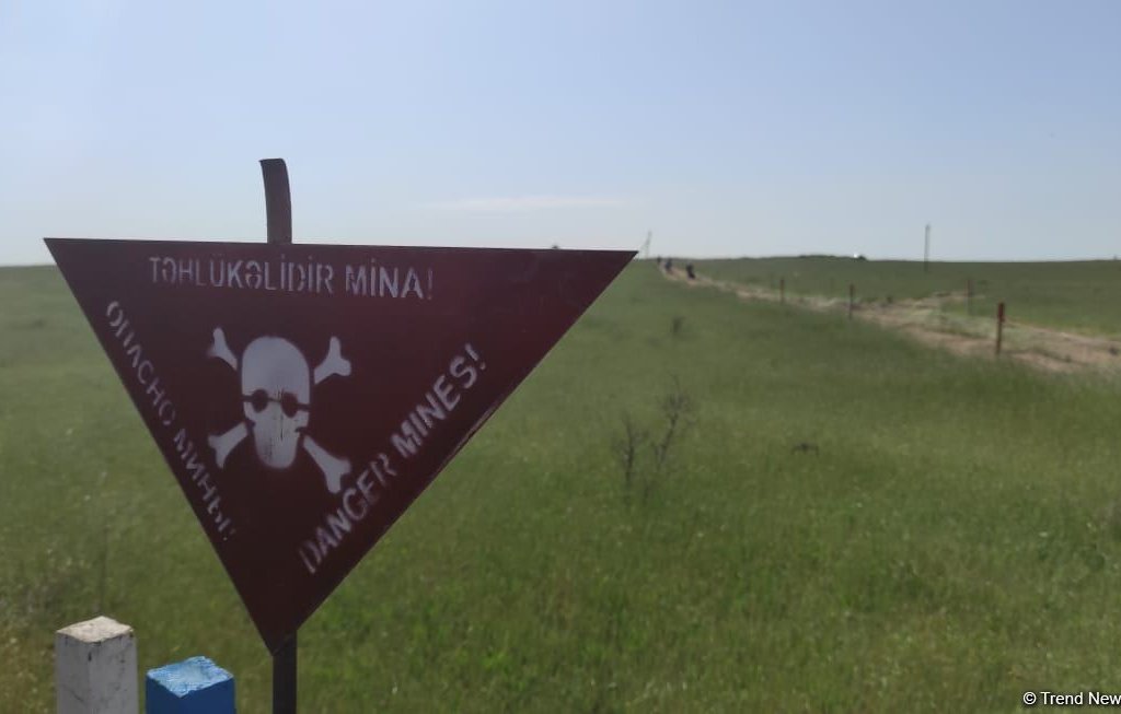 Azad edilən ərazilərdə daha 384 hektar sahə minalardan təmizlənib