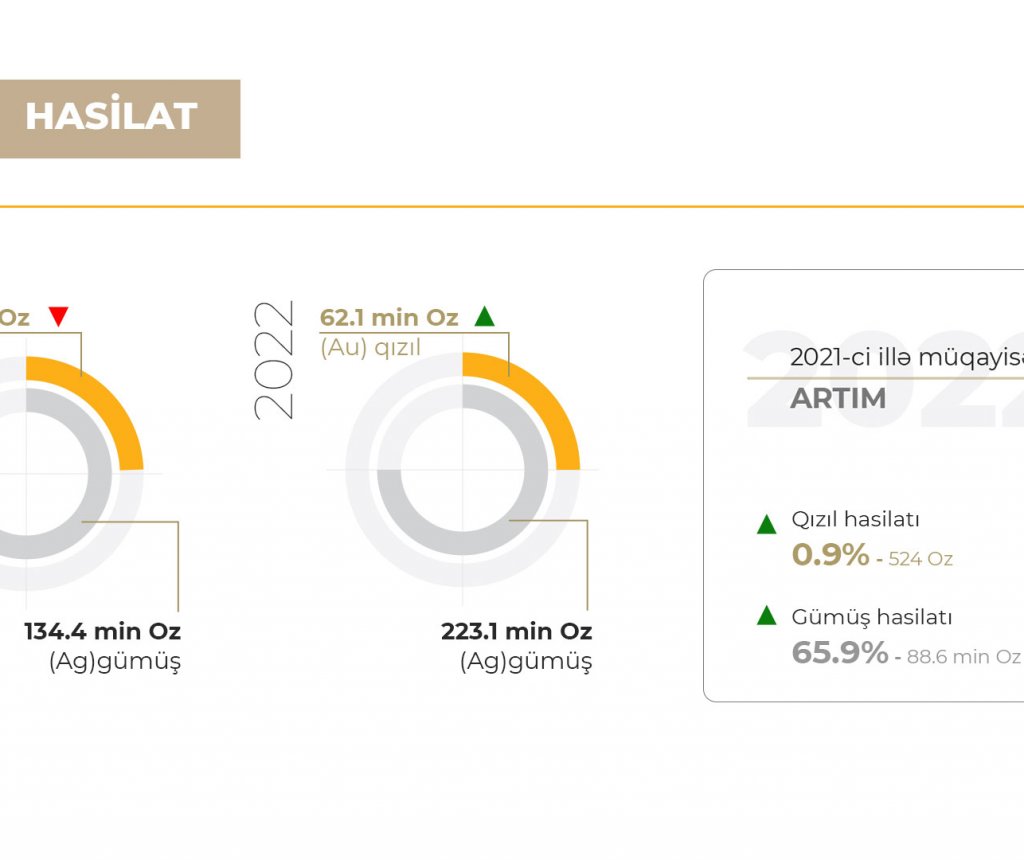 “AzerGold” QSC 2022-ci ildə hasilatı artırıb