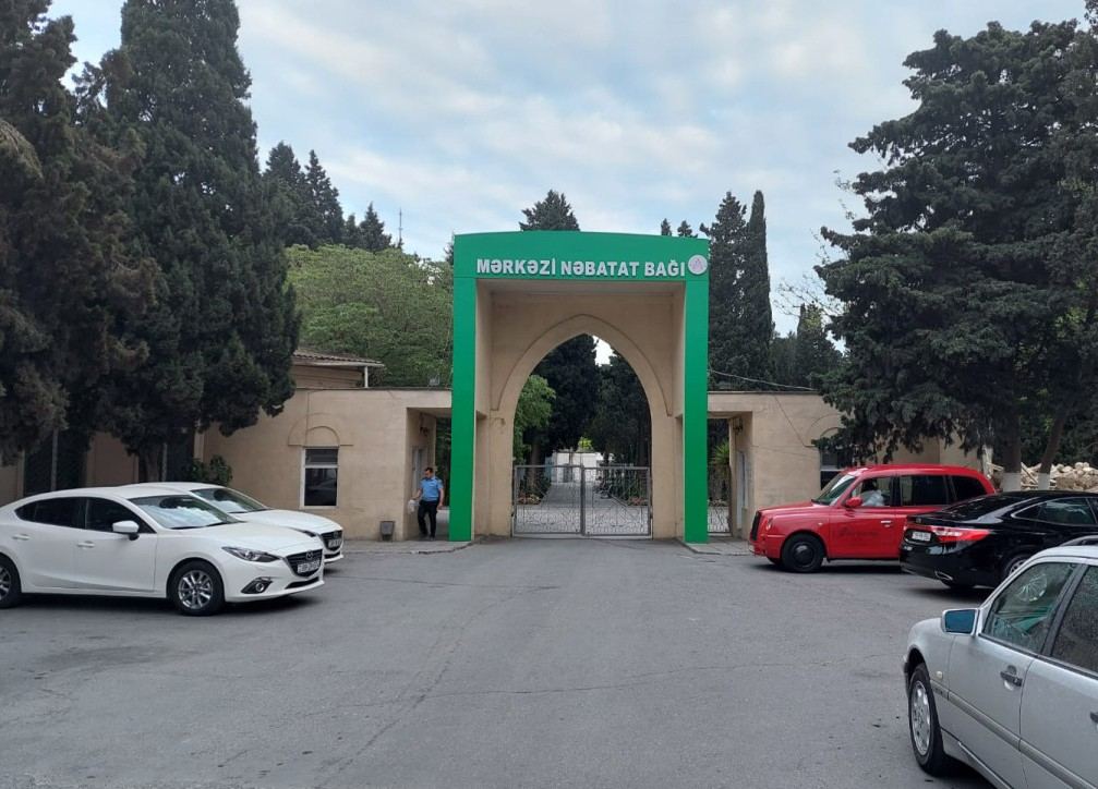 Mərkəzi Nəbatat Bağında amfiteatr inşa ediləcək