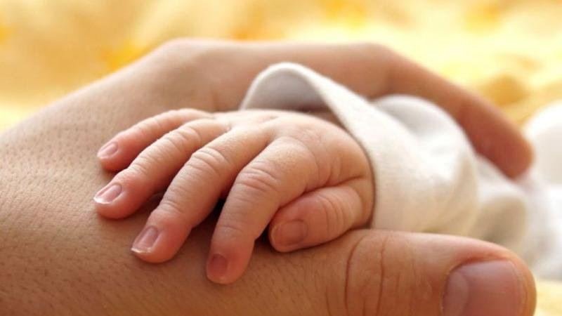 Himayədar ailəyə verilmiş uşağ görə müavinətin məbləği müəyyənləşib