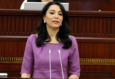 Ombudsmana yeni səlahiyyət verilir