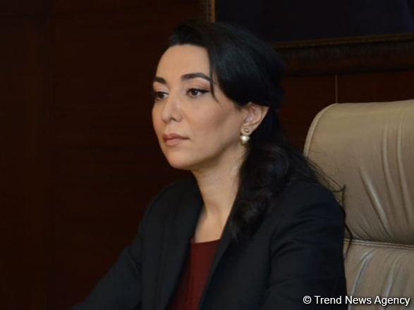 Səbinə Əliyeva Avropa Şurasının insan hüquqları üzrə komissarının bəyanatına cavab verib