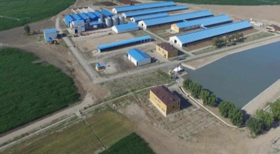 “Xaçmaz Aqropark” Qazi atasına qarşı... - 