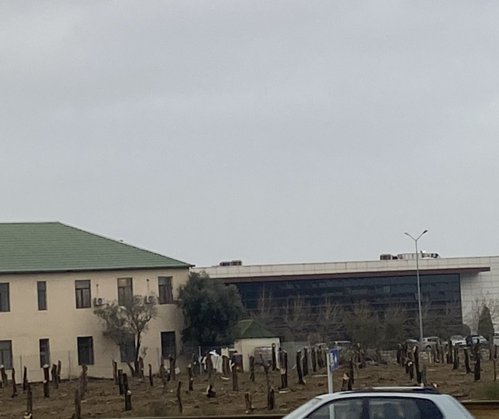 Heydər Əliyevin anım günündə Bakıda yüzlərlə ağac kəsilib - BU NƏDİ BELƏ?!